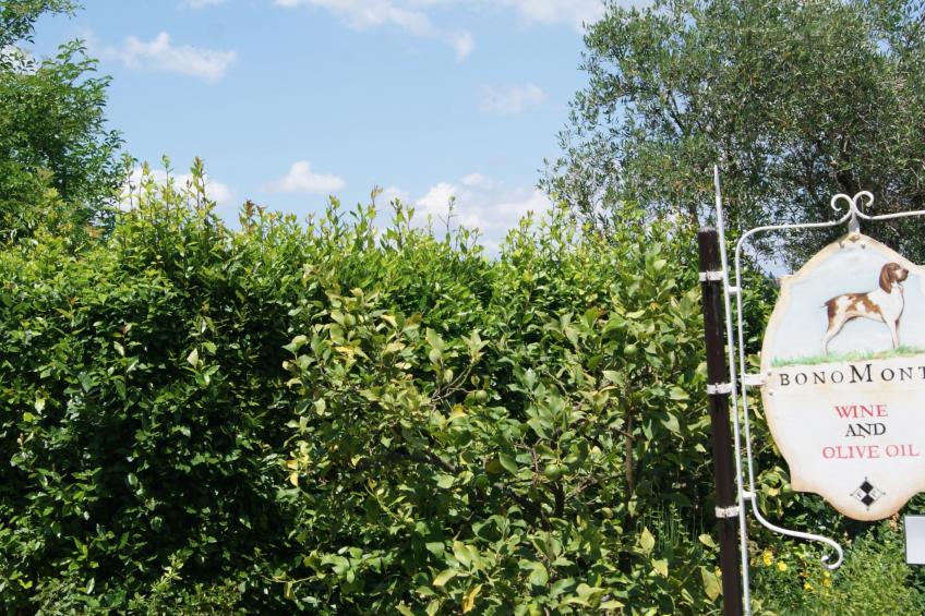 Wohnung mit Privatparkplatz und schöner Aussicht - foto 32