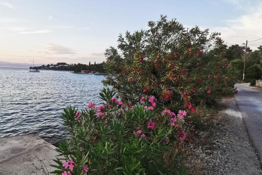 Apartment Bella mit Balkon und Terrasse in Necujam - foto 33