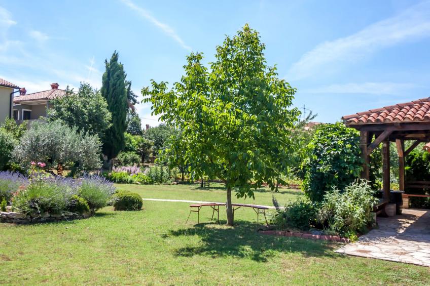 Wohnung Angelina in Marcana bei Pula - foto 23