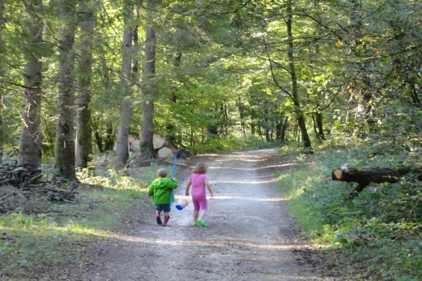 L'Alouette - foto 35