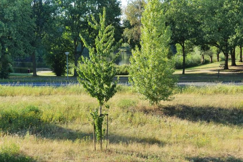 't Kokhuus - foto 26