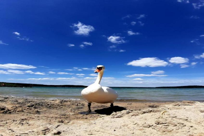 Holiday home Jedrek - foto 24