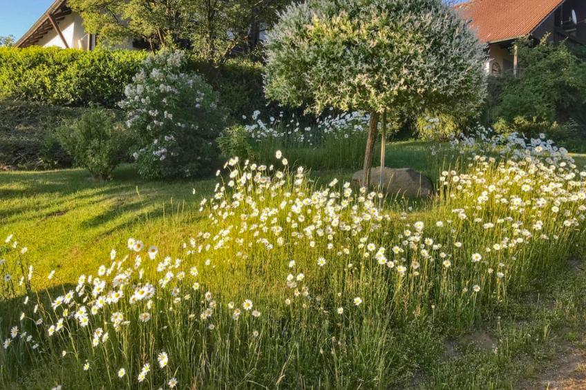 Böhmerwaldnest - foto 41