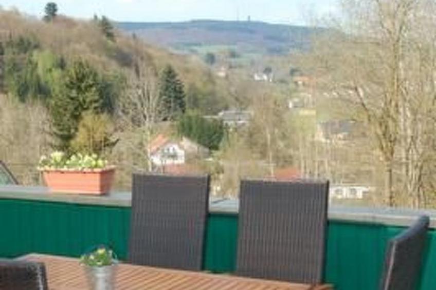 Rennsteigwässerchen - foto 2