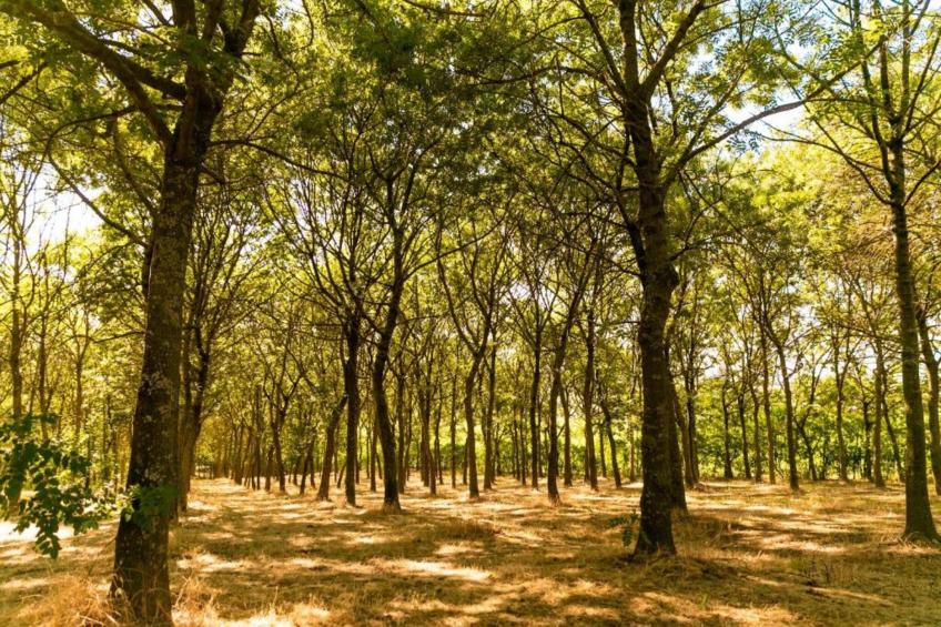 Appartamento Aurora - foto 27