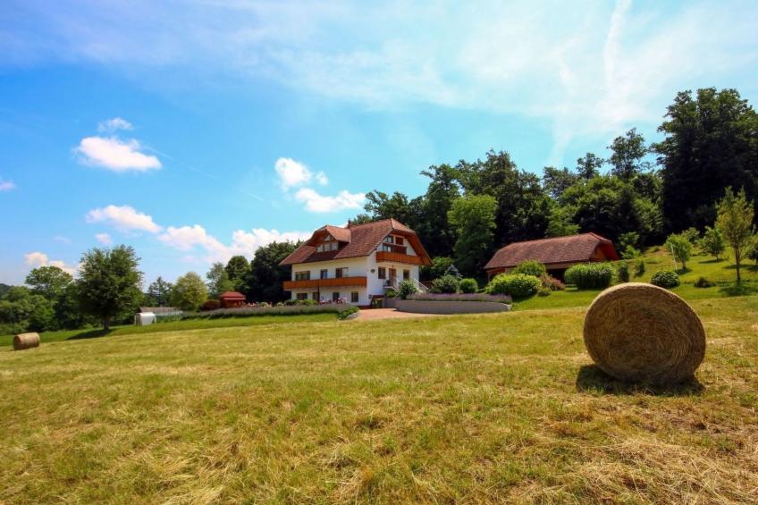 VILLA KATARINA - foto 4