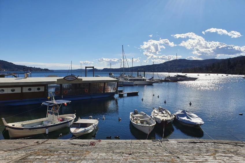 Van Gogh 2 - foto 21