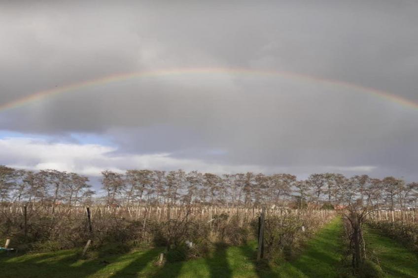 Standaard 224 - foto 28