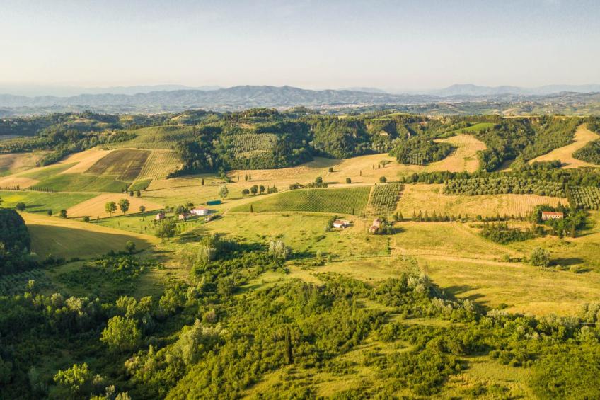 Villa San Miniato - foto 107