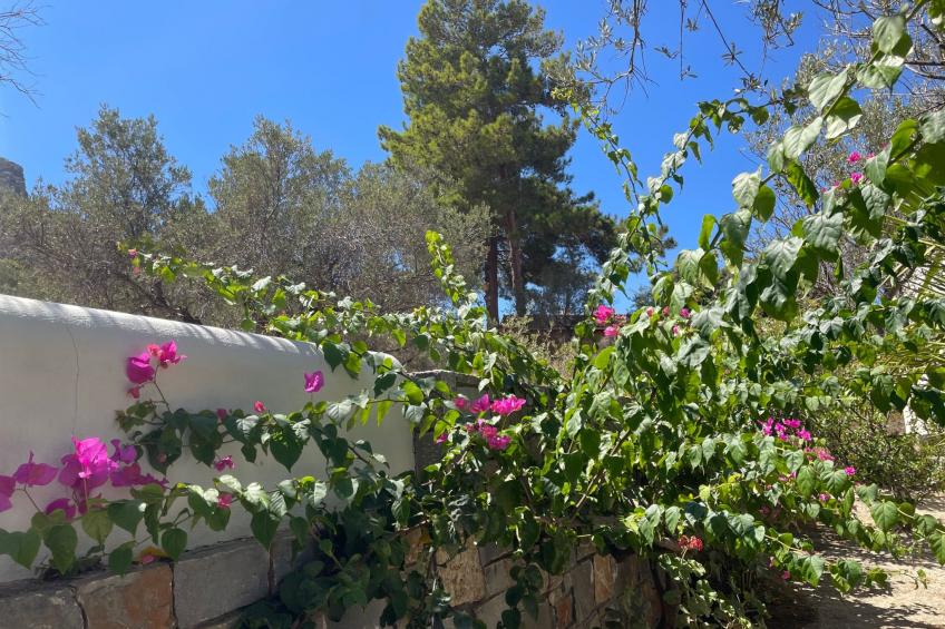 Nefeli Blue Villa in altem Olivenhain, Meerblick - foto 30