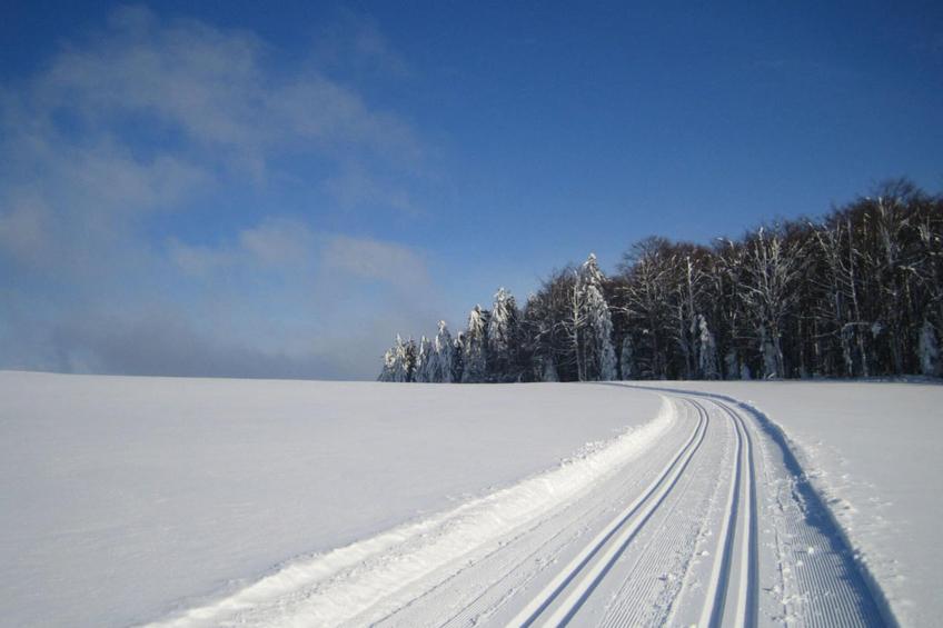 Gästehaus Kandlbinder - foto 40