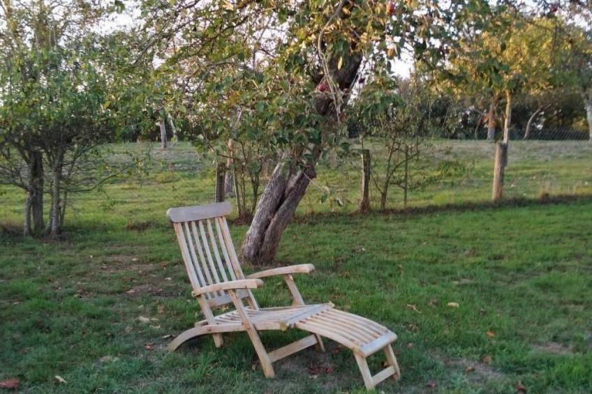 la Ferme Blanche - foto 14