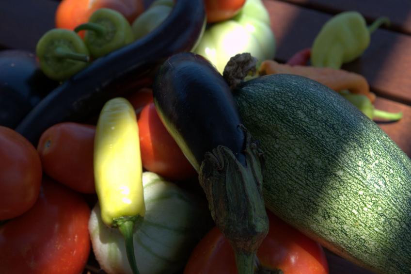 mit Privatpool für 4 Personen  + 2 Kinder ca. 92 m² in Elounda, Kreta (Ost - foto 54