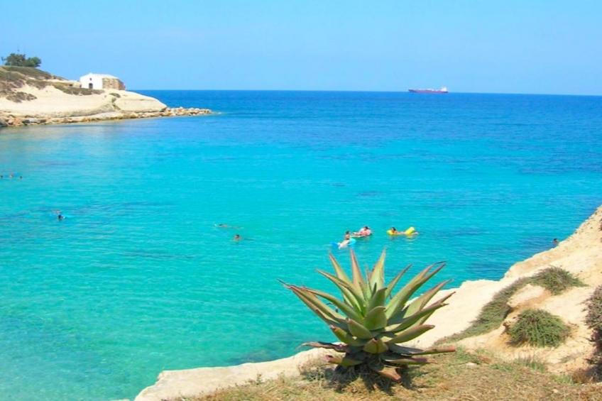 IL DELFINO - foto 29