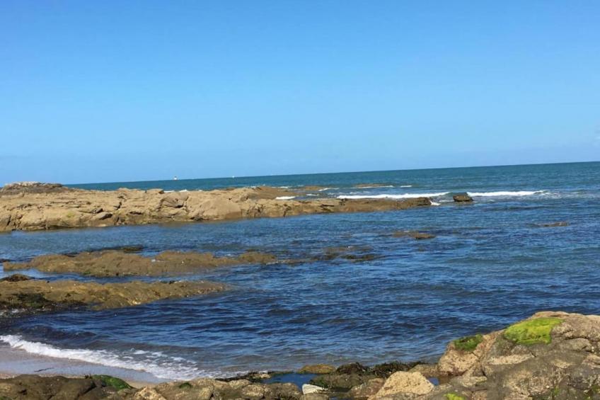 Résidence Prestige le Domaine des Pins - foto 34