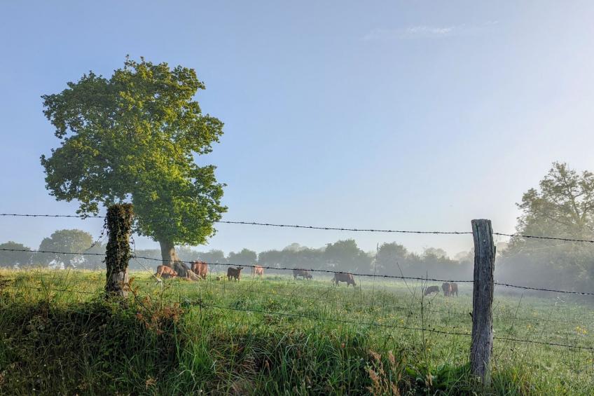 Estate "Le Pressoir" (Die Kelterei) - foto 22