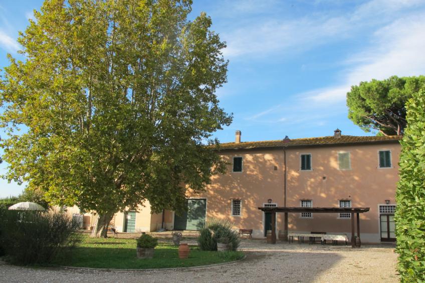 Fattoria Scaletta + Girasole - foto 89