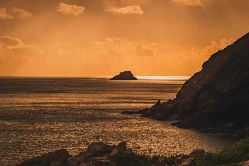 The Old Store - foto 30