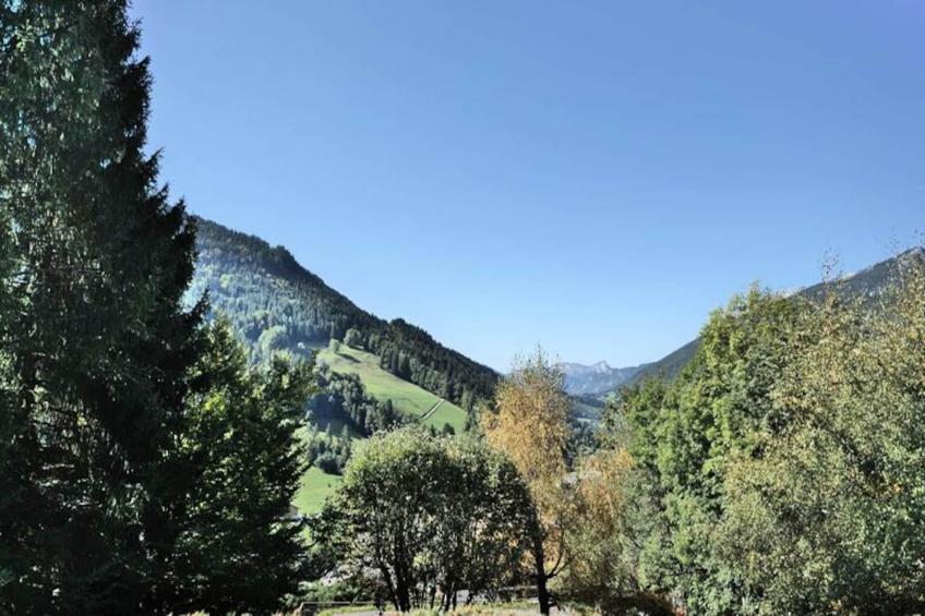 Résidence Belvedere 3 - foto 13