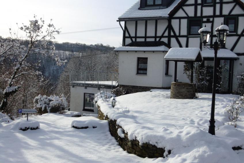 in Waldbreitbach mit Whirlpool - foto 2