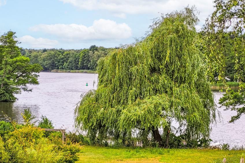 Seeblick 21 - foto 17