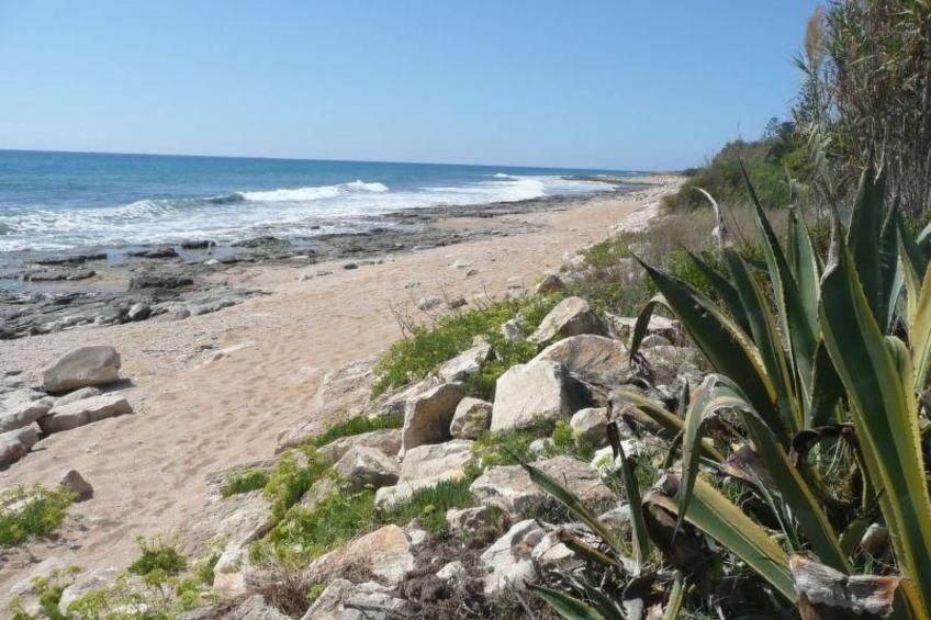 Villa Matilde: Kleine Ferienwohnung mit Meerblick - foto 34