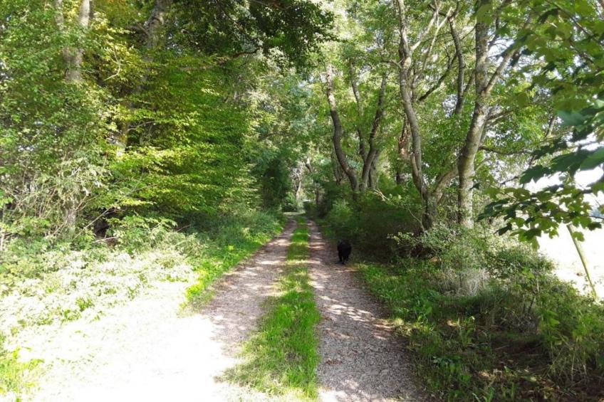 Morsbacher Hof III - foto 30