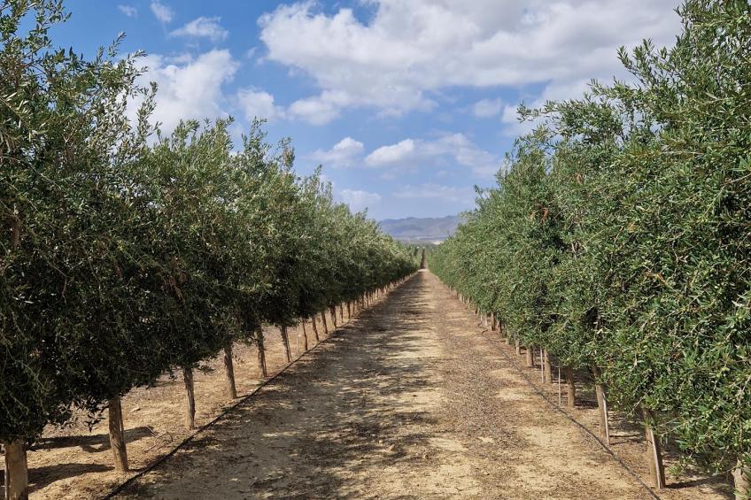 Casa de Esjes - foto 25