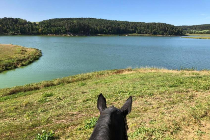FERIENDORF SEEBLICK - Tiny Chalet am Eixendorfer See - foto 31