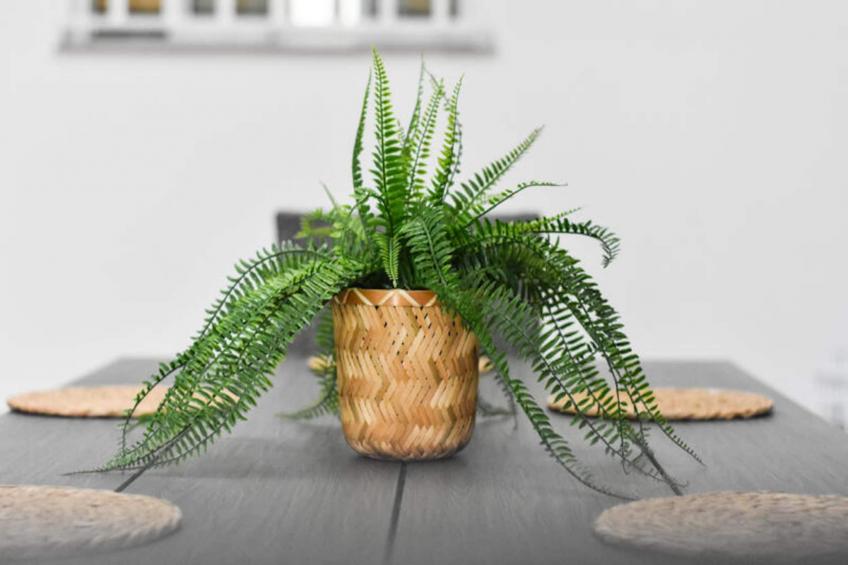 Maison à Moncofar - foto 35