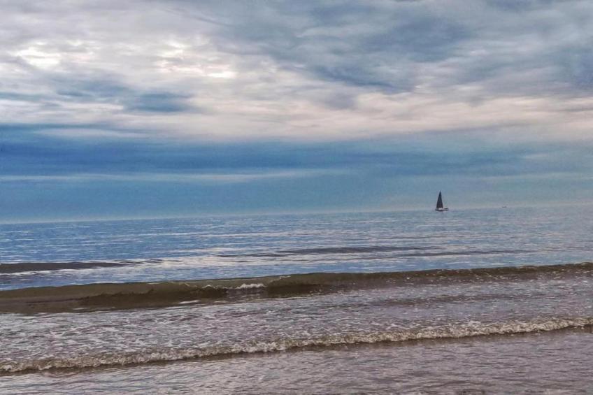 Rosalie 0202 - foto 23