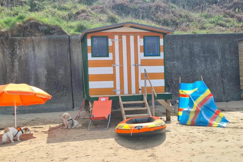 Brigwyn - foto 8