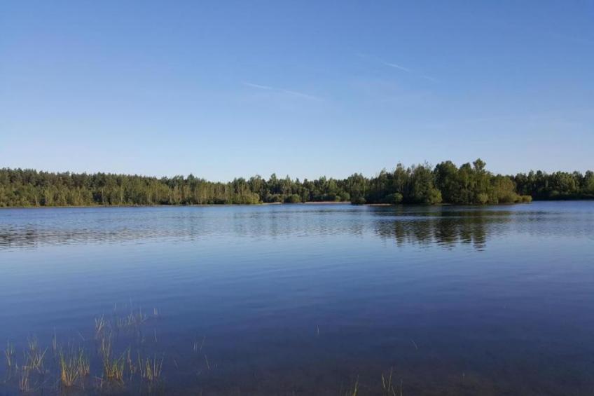 The Forest Cottage - foto 38