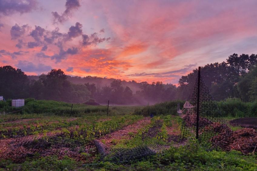 Schönes Haus in Sparrow Bush mit privatem Parkplatz und Bergblick - foto 36