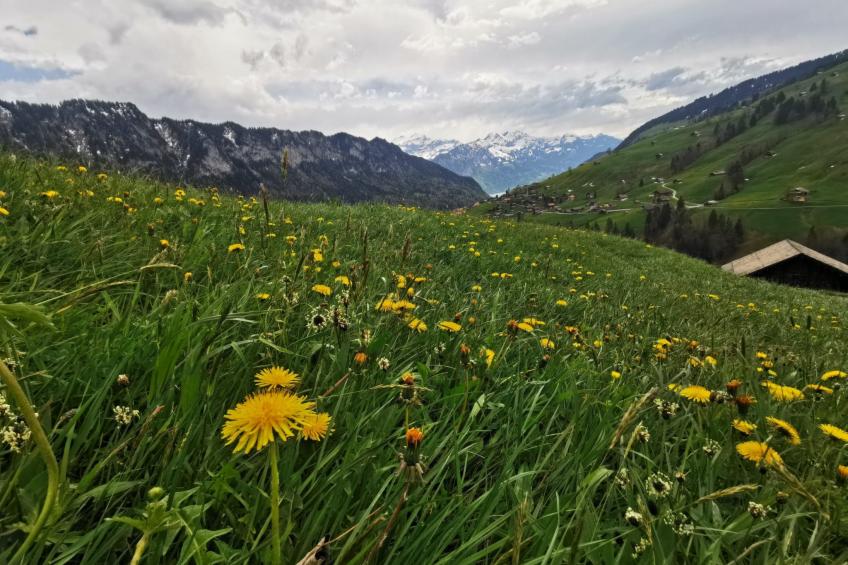 Fewo Wychelboden - foto 8