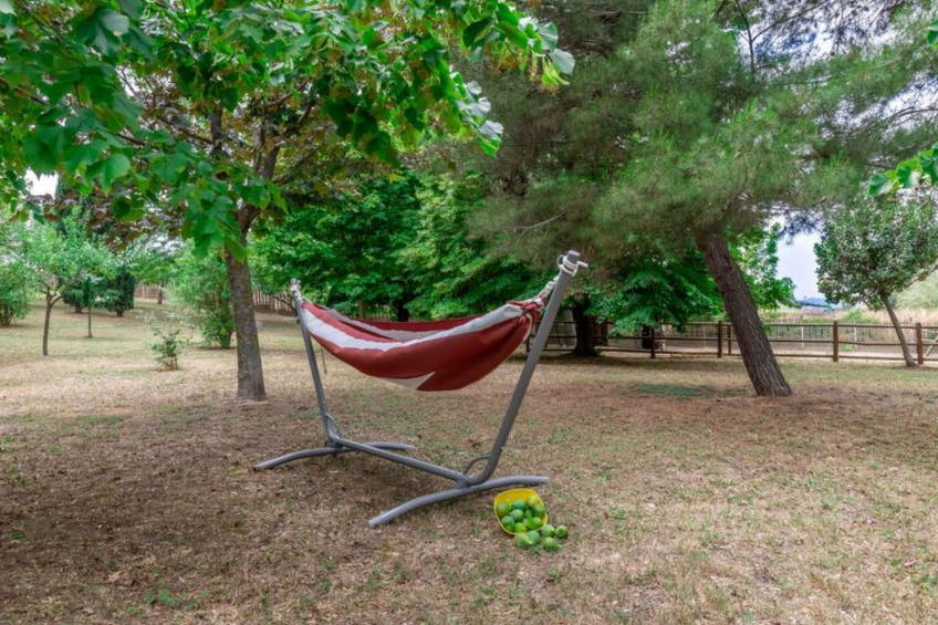 Villa Rosso Corbezzolo - foto 60