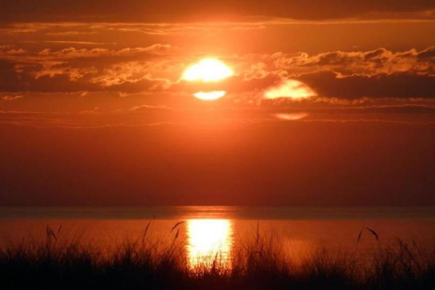 Gartenblick 1 - foto 37