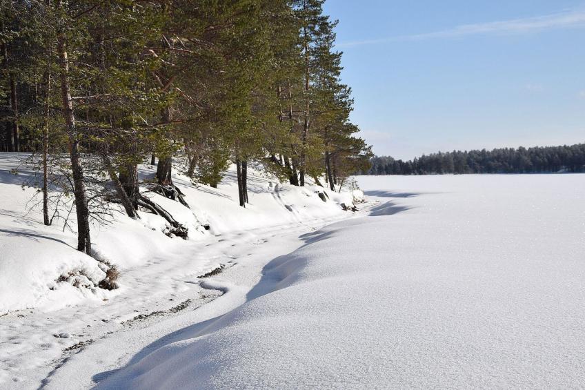 Villa livo - foto 30