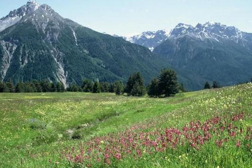 Pensiun Tung - foto 14