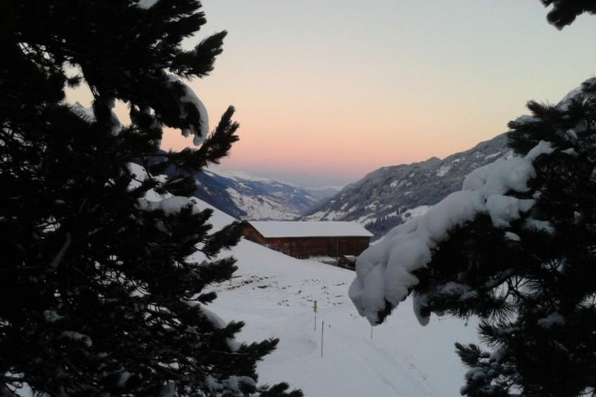 La Sclarida Kissling, (Segnas/Disentis), 1630 - foto 17