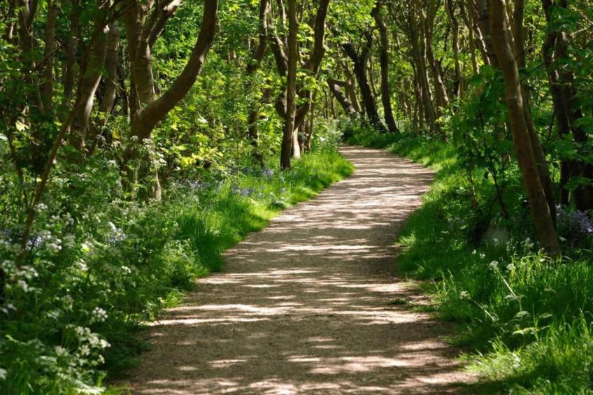 Piet Mondriaanpad 6a Westkapelle - foto 37