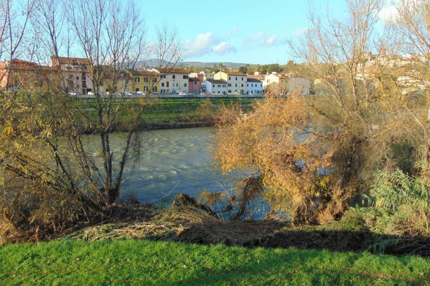 Antinoro 2 - foto 28