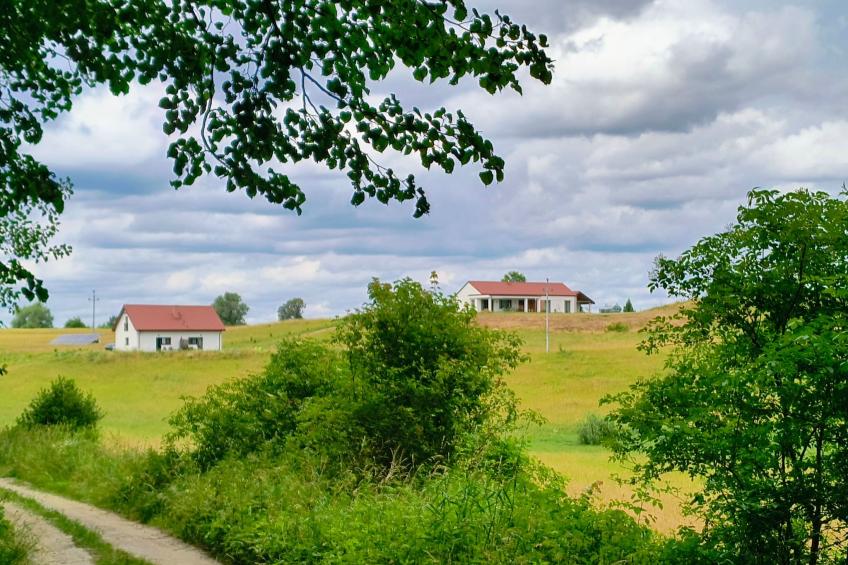 Vogelecke - abseits des Trubels und der Hektik - foto 41