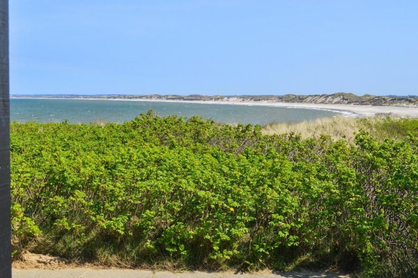 "Legolas" - 50m from the sea in NW Jutland - foto 2
