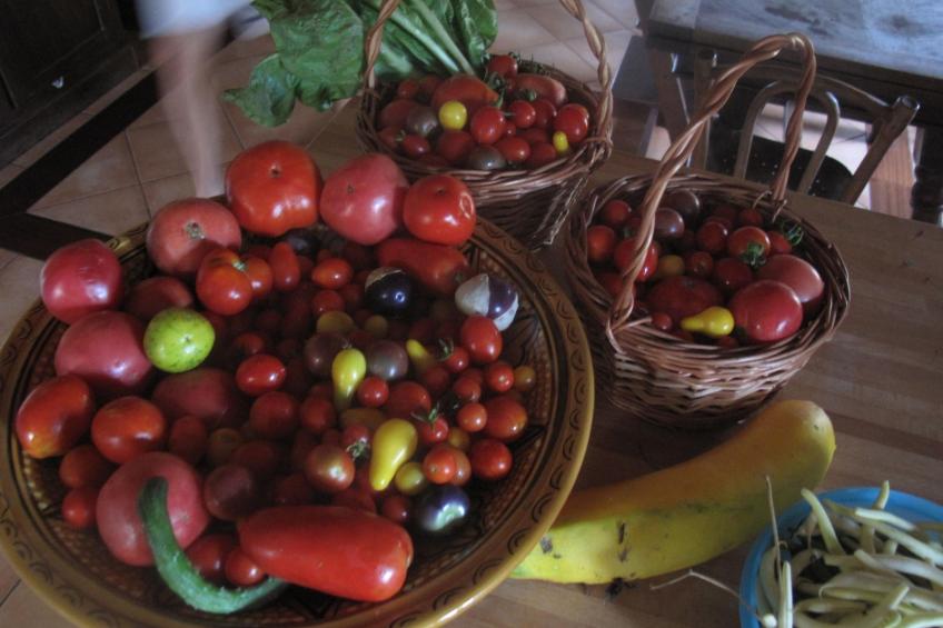 mit privatem Pool in üppiger Umgebung - foto 14