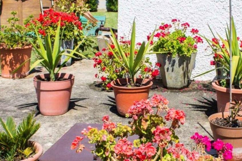 Wunderschöne Villa mit privatem Swimmingpool - foto 48