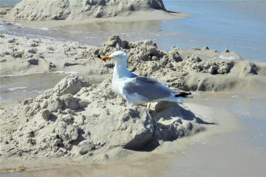 Strandnah mit Balkon - foto 38