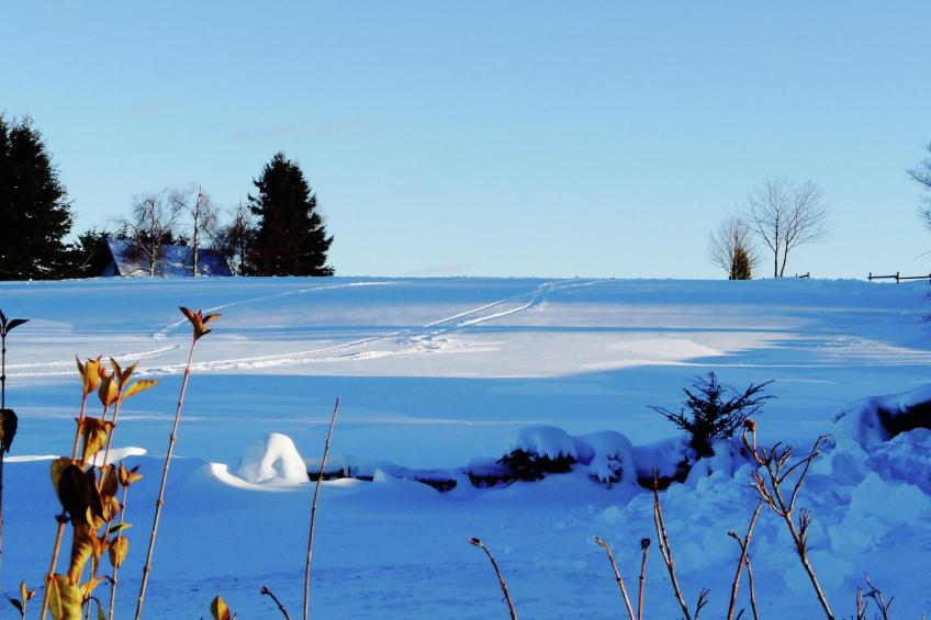 4 SZ/ 8P  - Winterberg Chalet 21096 - foto 38