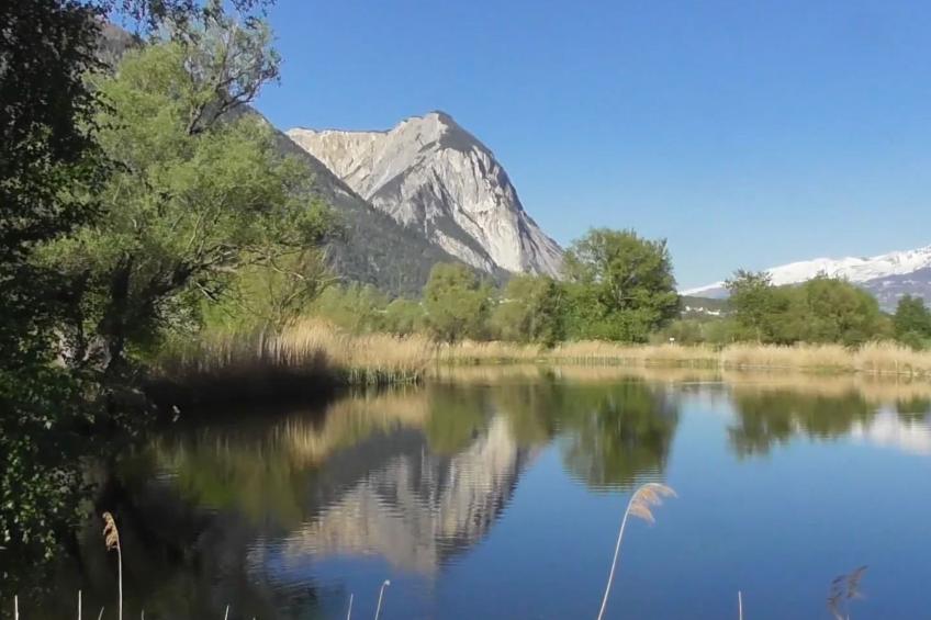 Chalet Oase - foto 26