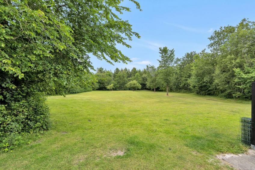 "Skarthi" - 20km from the sea in Western Jutland - foto 23